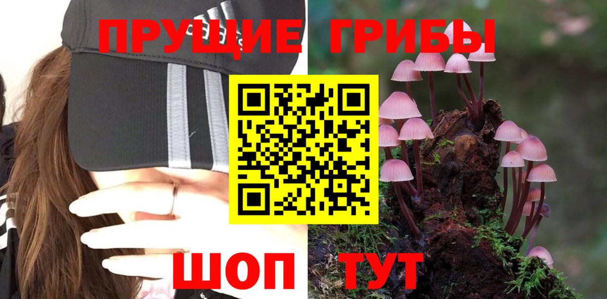 Горячий Ключ  Галлюциногенные грибы MAGIC MUSHROOMS  купить   Вход с VPN 